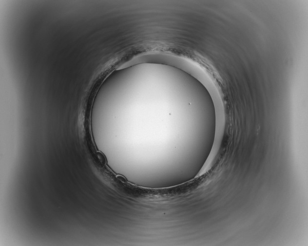 X0000099570538200805301542