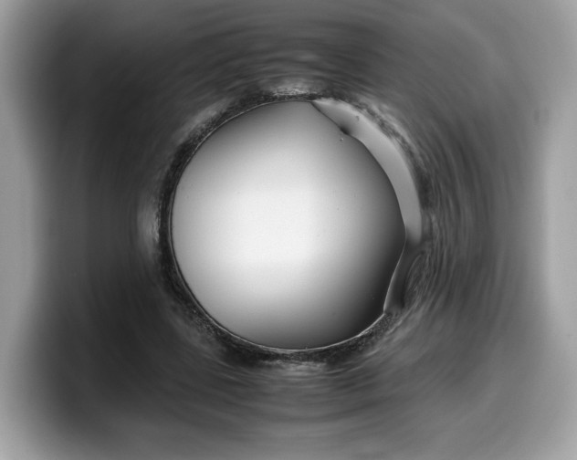 X0000099570539200805301542