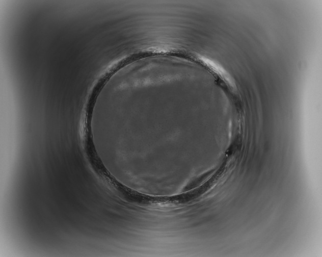 X0000099570540200805301542
