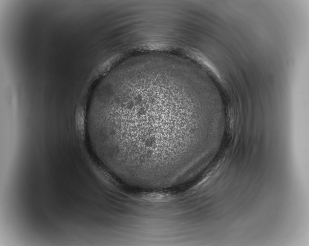 X0000099570542200805301542