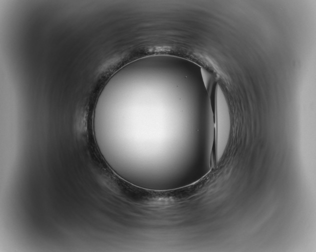 X0000099570543200805301542