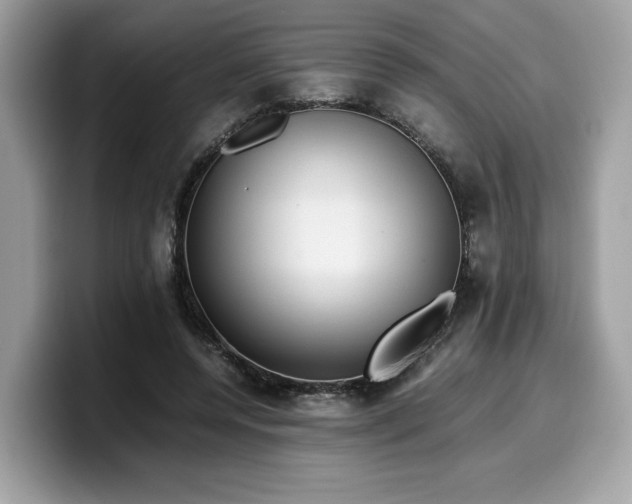 X0000099570544200805301542
