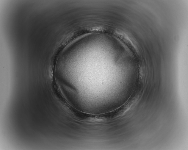 X0000099570545200805301542
