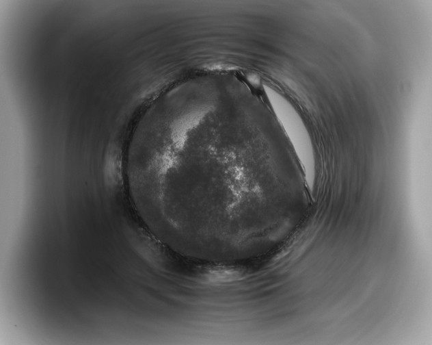X0000099570547200805301542