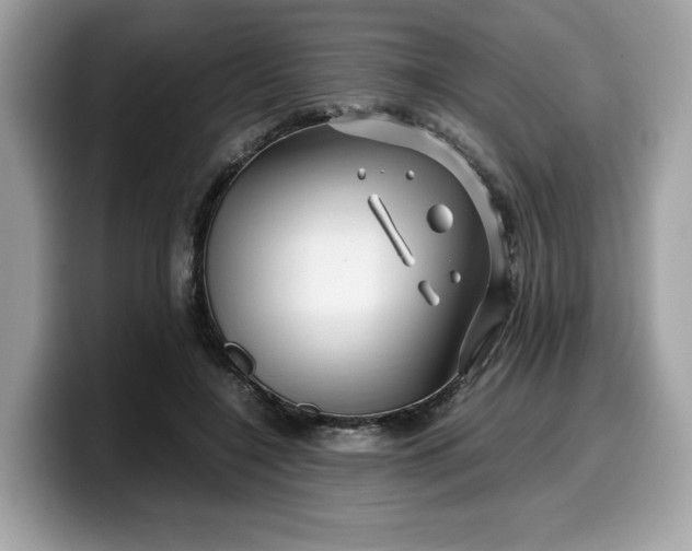 X0000099570548200805301542