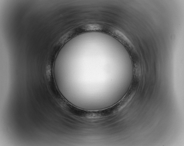 X0000099570549200805301542