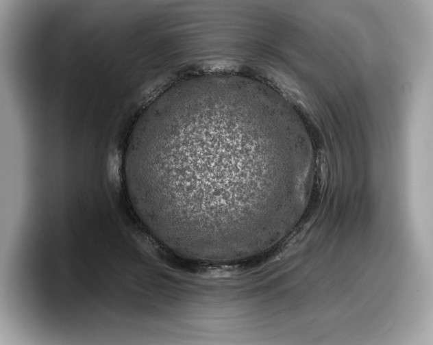 X0000099570550200805301542