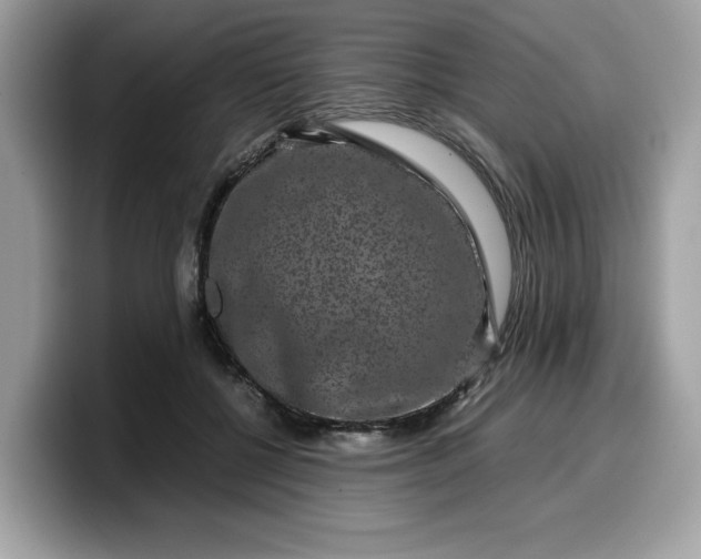 X0000099570552200805301542