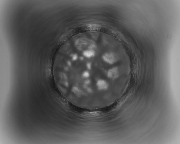 X0000099570553200805301542