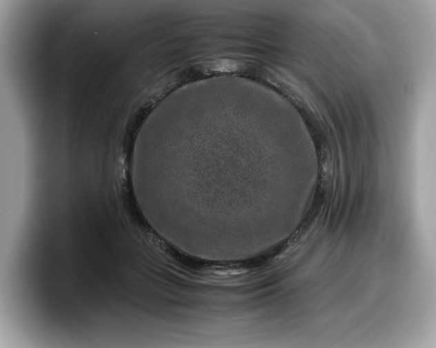 X0000099570555200805301542