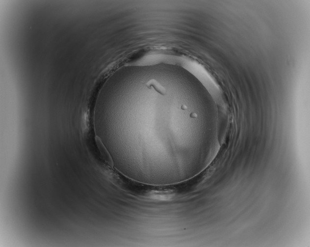 X0000099570556200805301542