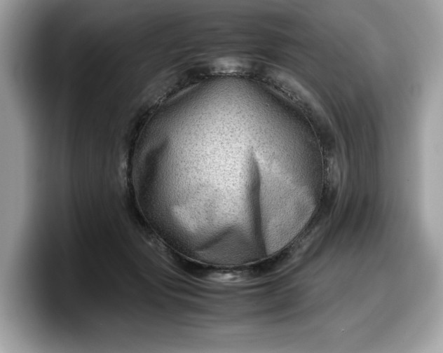 X0000099570557200805301542