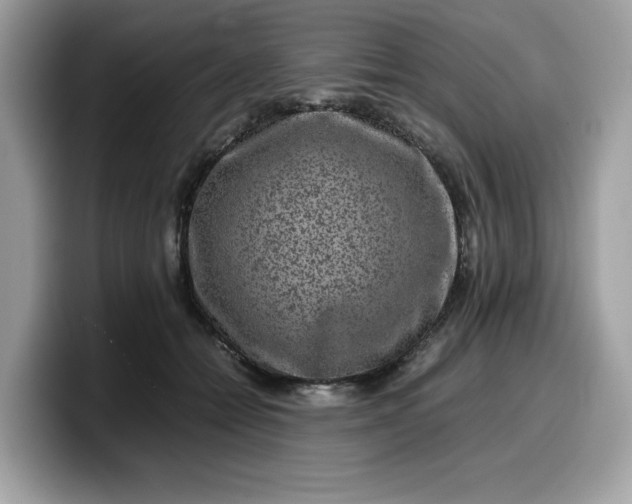 X0000099570558200805301542