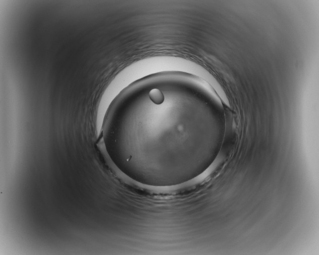 X0000099570560200805301542