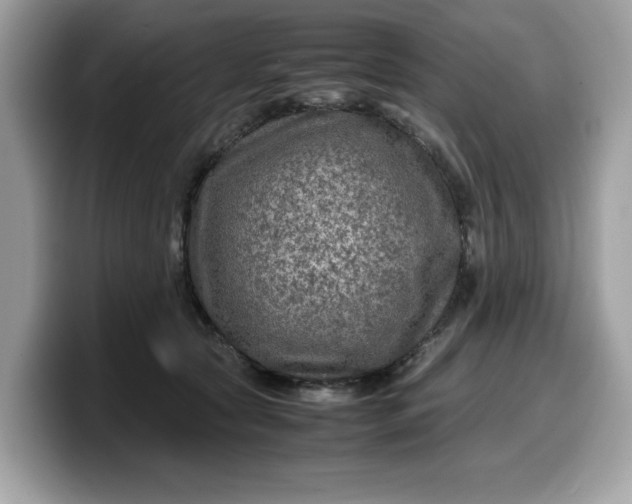X0000099570561200805301542