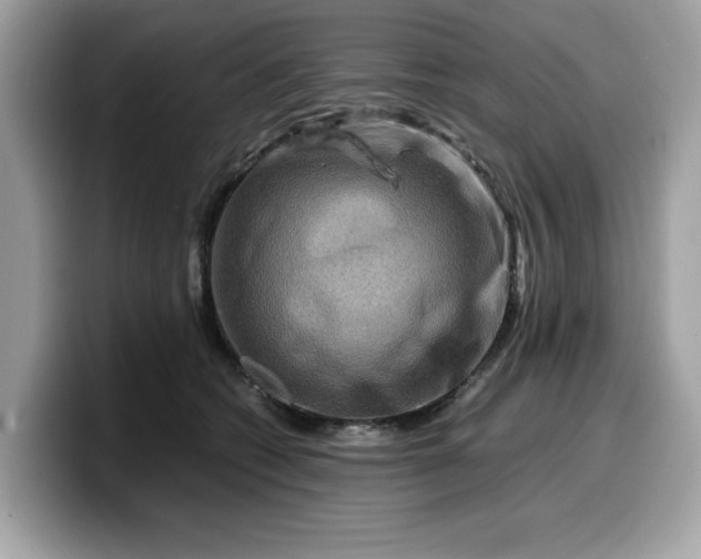 X0000099570562200805301543