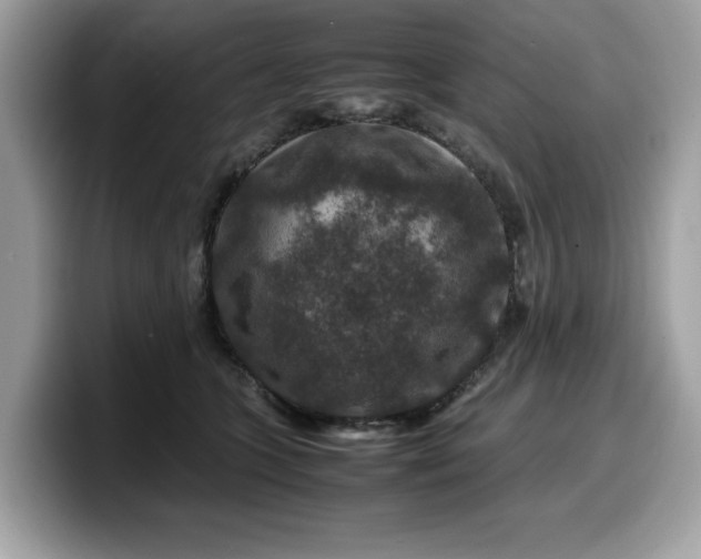 X0000099570563200805301543