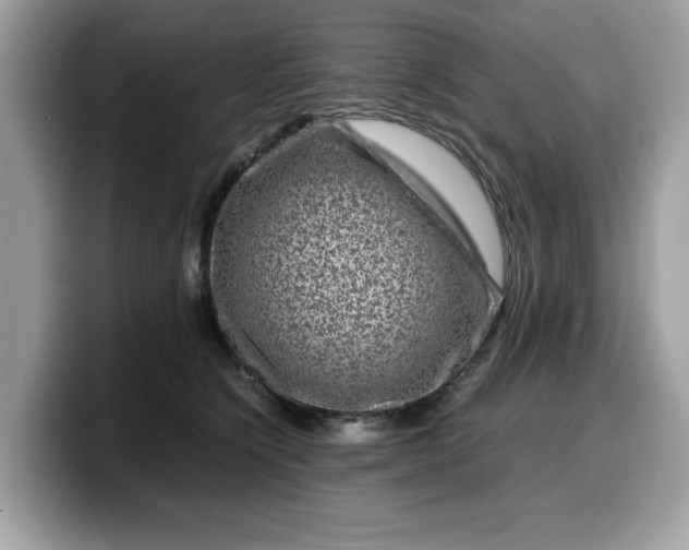 X0000099570564200805301543