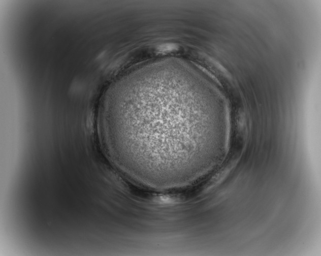 X0000099570565200805301543