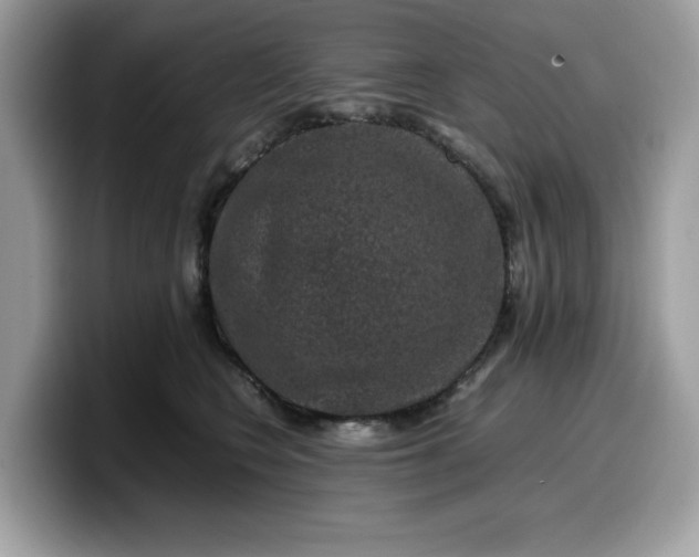 X0000099570566200805301543