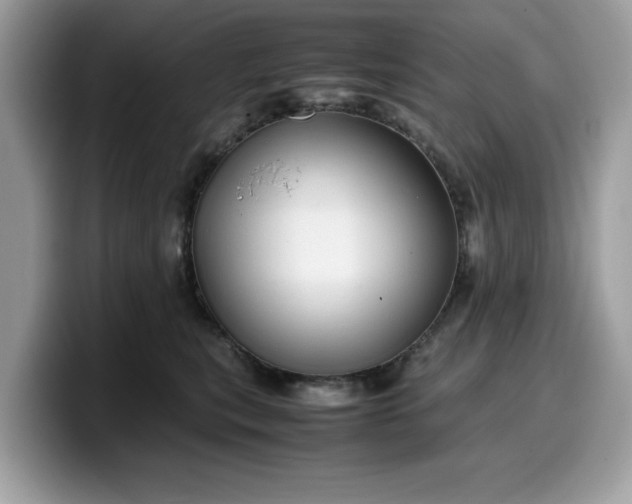 X0000099570567200805301543