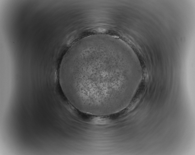 X0000099570568200805301543