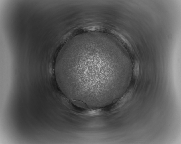 X0000099570569200805301543