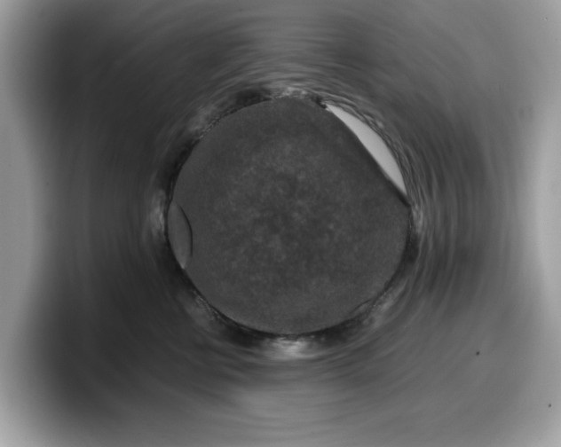 X0000099570570200805301543