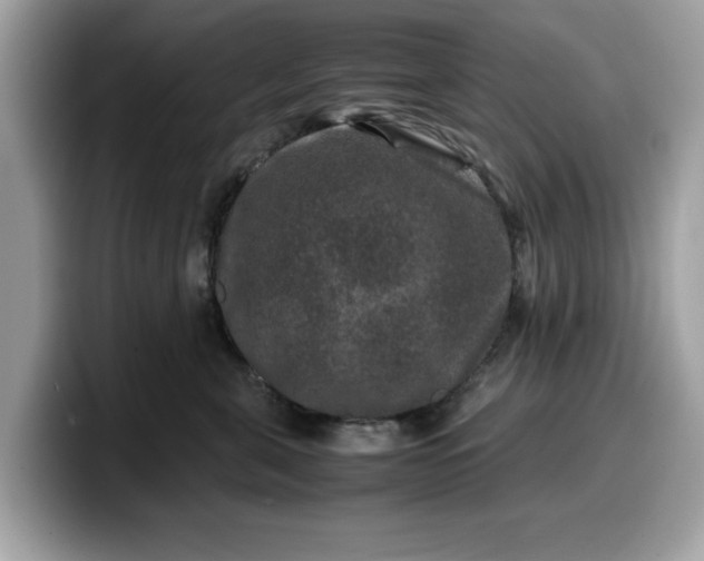 X0000099570571200805301543