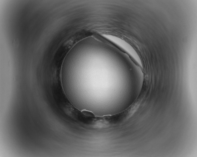 X0000099570572200805301543