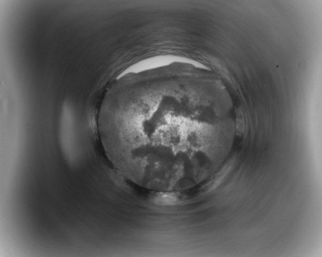 X0000099570573200805301543