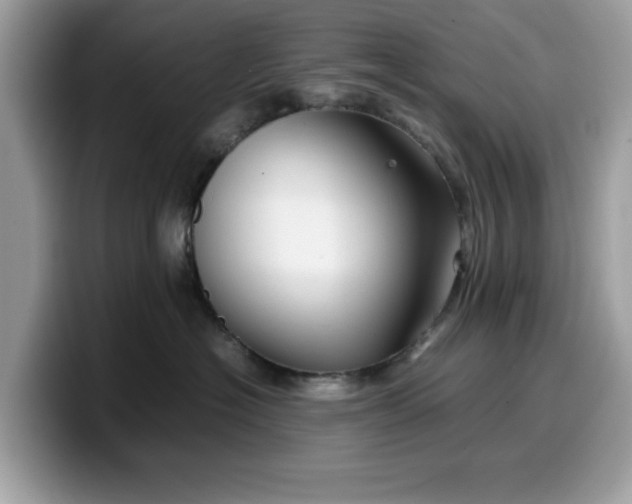 X0000099570574200805301543