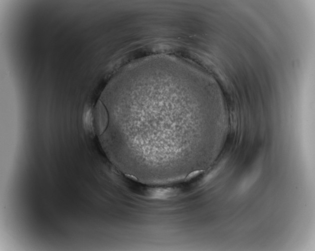 X0000099570575200805301543