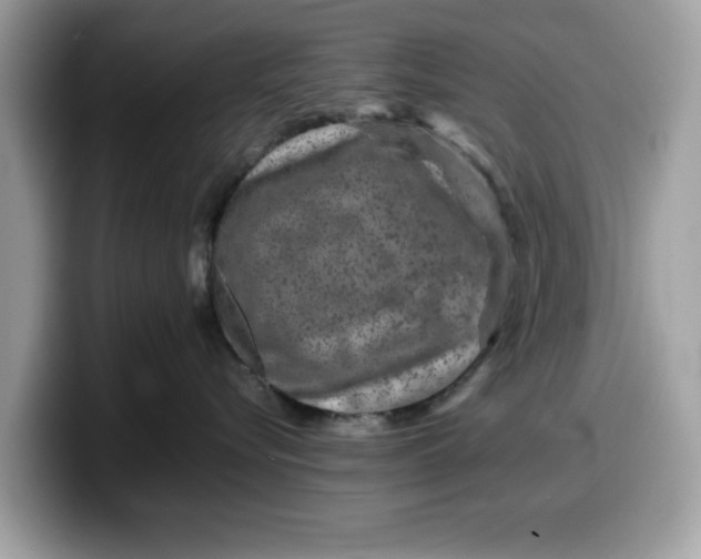 X0000099570576200805301543