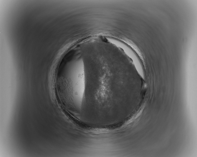 X0000099570577200805301542