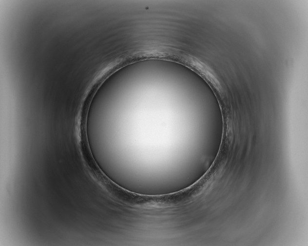 X0000099570578200805301542