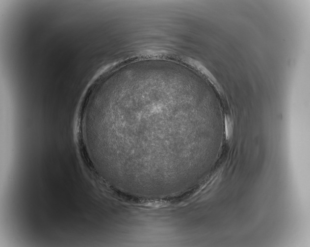 X0000099570579200805301542