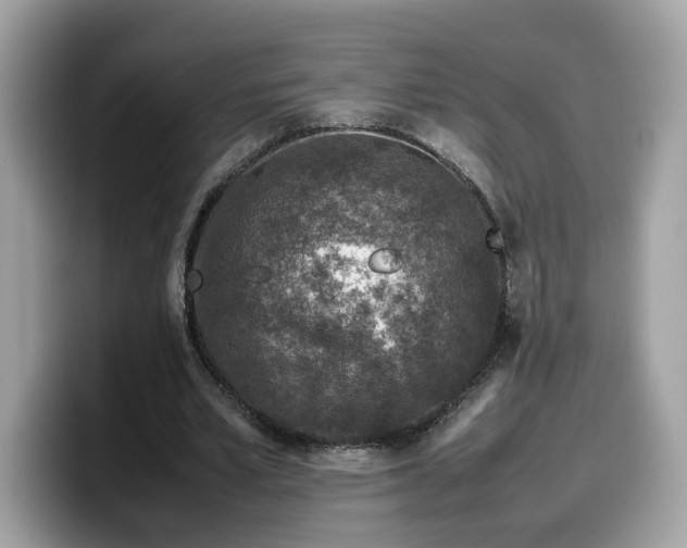 X0000099570581200805301542