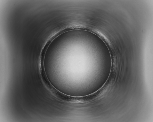 X0000099570582200805301542