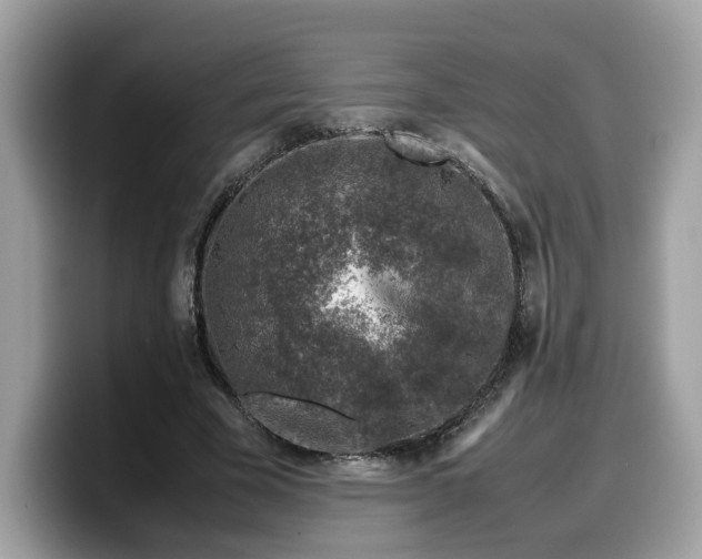 X0000099570585200805301542