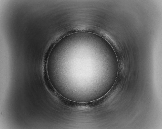 X0000099570586200805301542