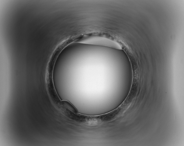 X0000099570587200805301542