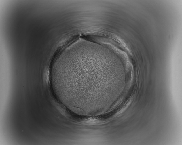 X0000099570589200805301542