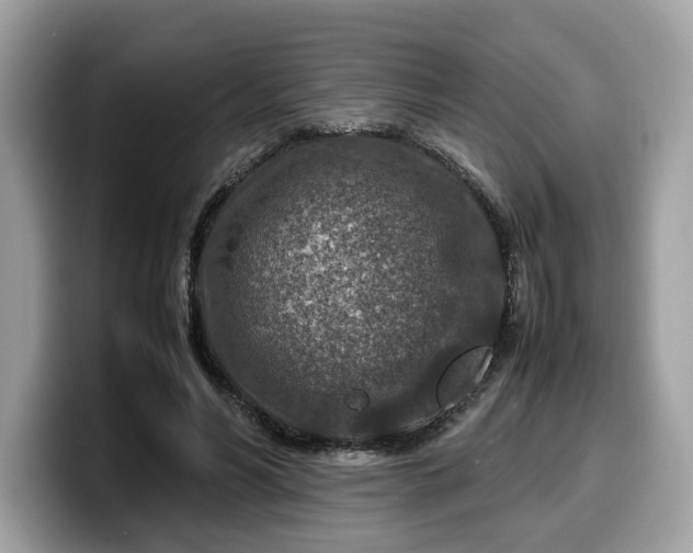 X0000099570590200805301542