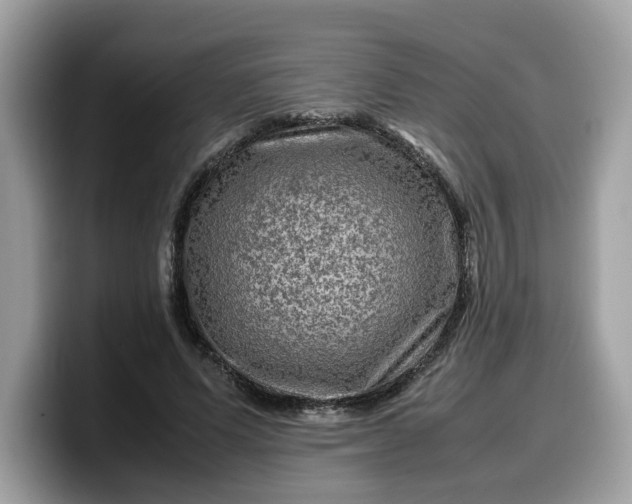 X0000099570591200805301542