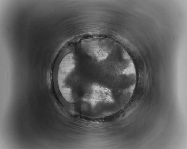 X0000099570592200805301542