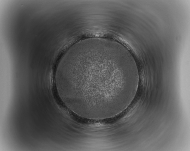X0000099570594200805301542