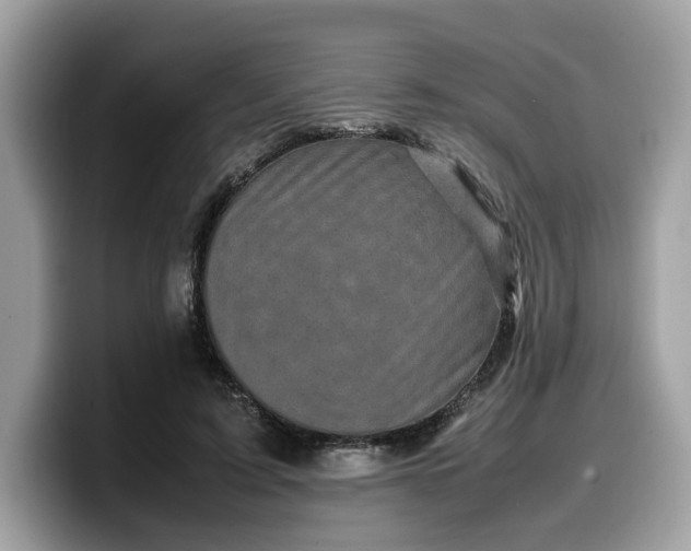 X0000099570595200805301542