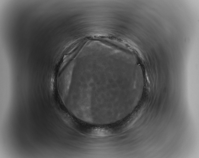 X0000099570596200805301542