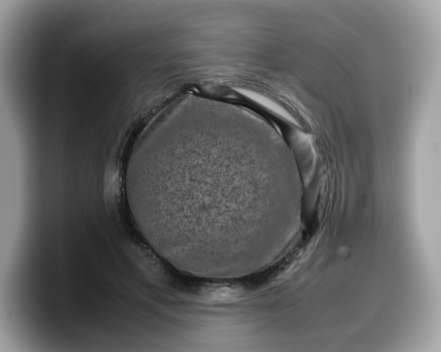 X0000099570597200805301542